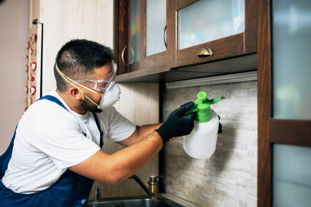 Best Pest Removal Services  in Sac City, IA