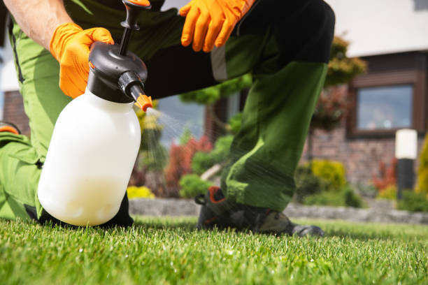 Best Cockroach Control Services  in Sac City, IA