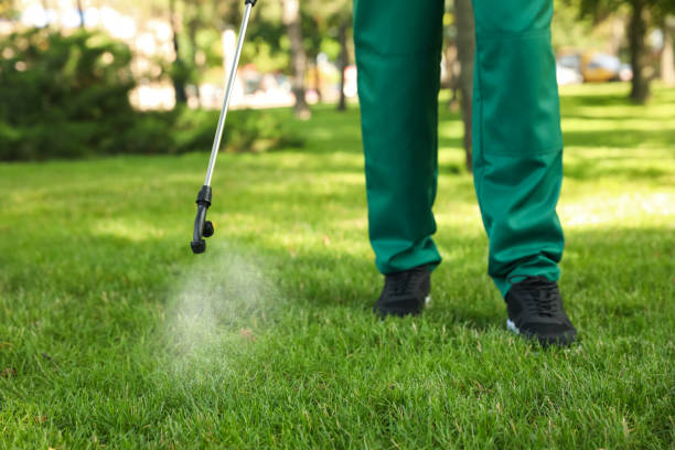 Best Best Pest Control Companies  in Sac City, IA