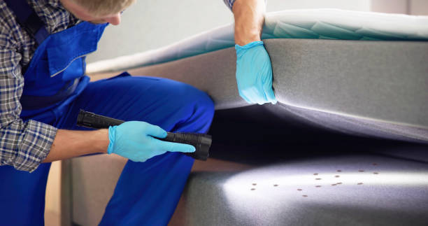 Pest Prevention Services in Sac City, IA