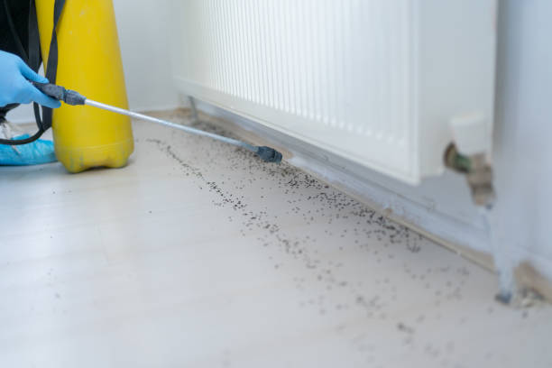 Best Mosquito Control Services  in Sac City, IA