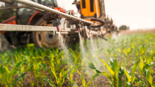 Best Commercial Pest Control Services  in Sac City, IA